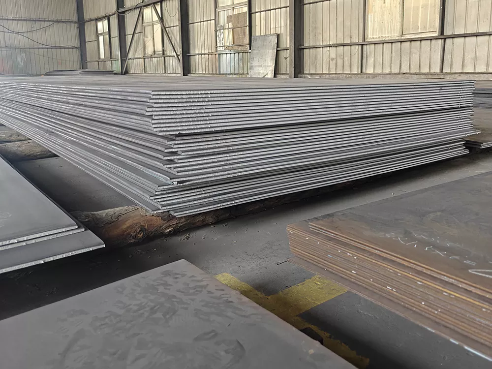 Princeps Fortitudo Steel Plate