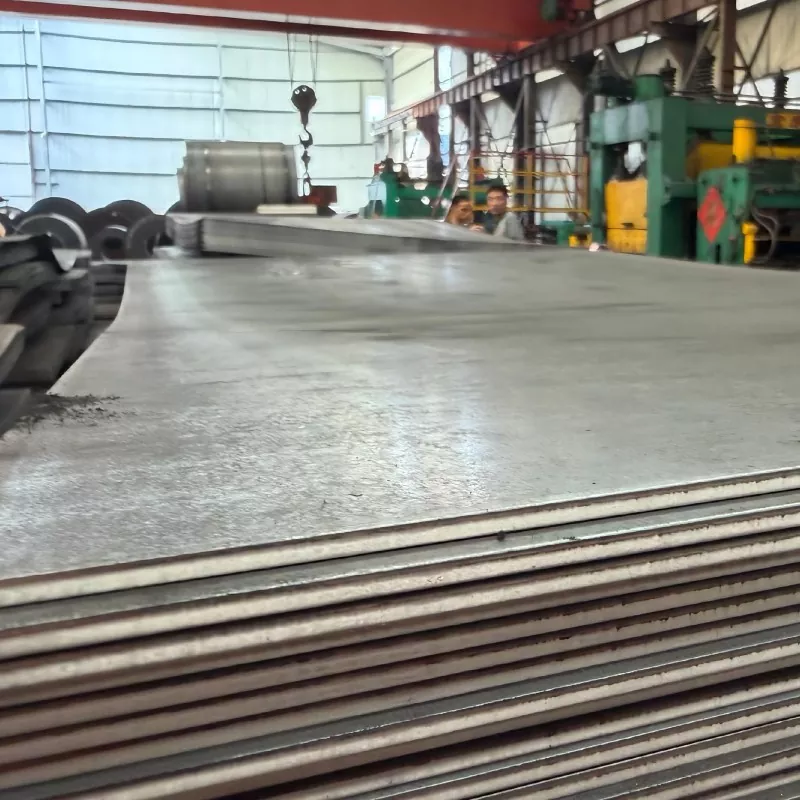 Marine Grade Medii et Gravi Plate